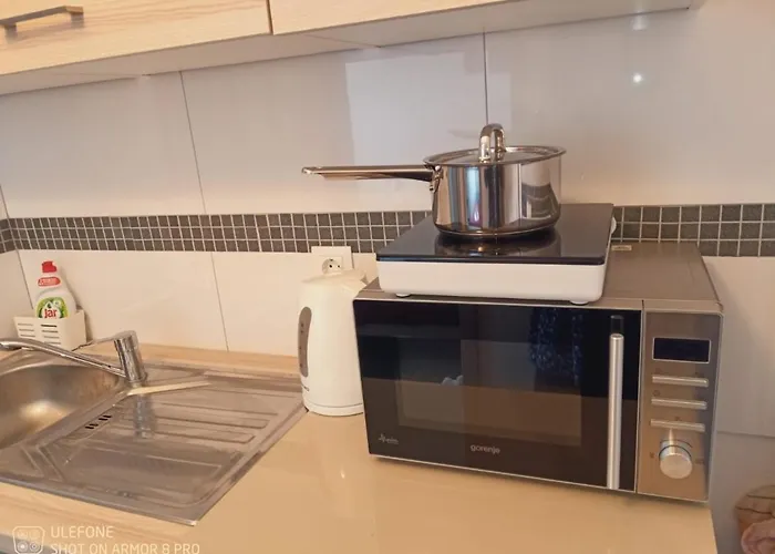 Abelia Medulin * 풀라