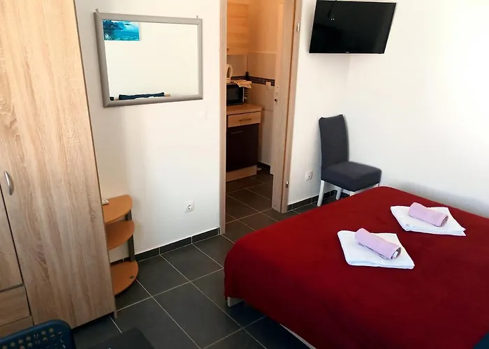 Abelia Medulin 풀라