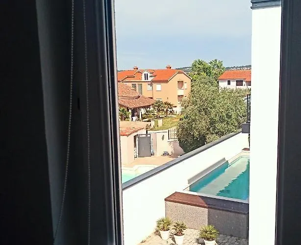 Abelia Medulin * 풀라